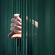 Illustration for article titled You Ought To Discover What To Do Following Getting A Bail Bondem/em